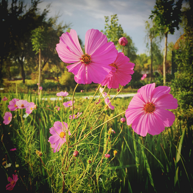 向着明亮那方—— 战魔山破心魔
