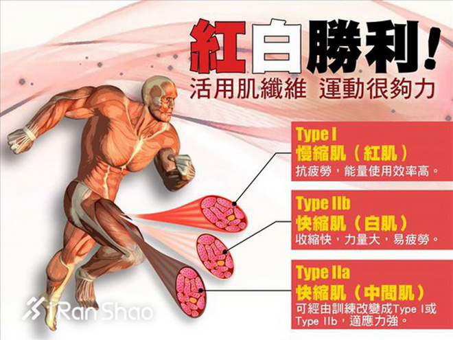 深度 | 爱好者与专业的马拉松选手有哪些差距，后者又具备哪些特质？