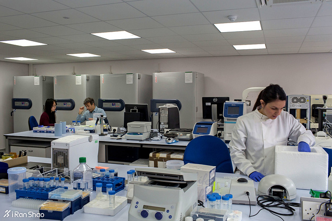 深度 | 三路人马分进合击 马拉松破2的新年愿望能否实现？