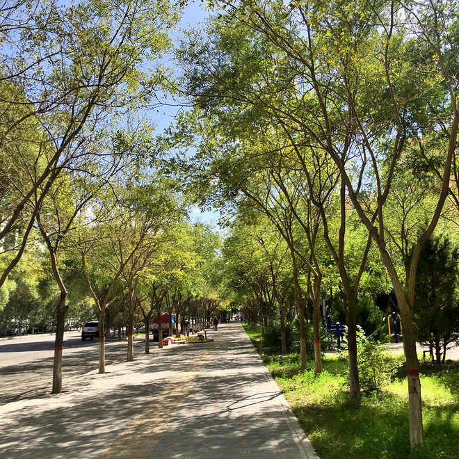 向着明亮那方—— 战魔山破心魔