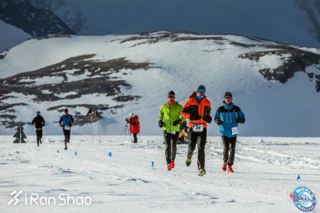 深度 | 7天7大洲7全马：冠军平均2:45 中国人获女子第二