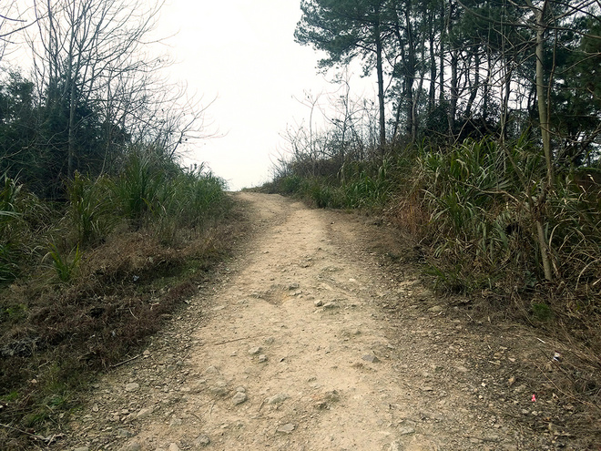 made in france | 地表最强8L——Gilet RESPONSIV 8L