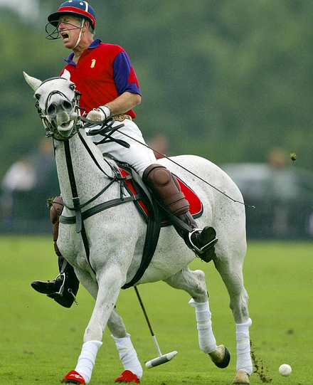 热点 | 静若处子动若脱兔 英国王室的运动情结