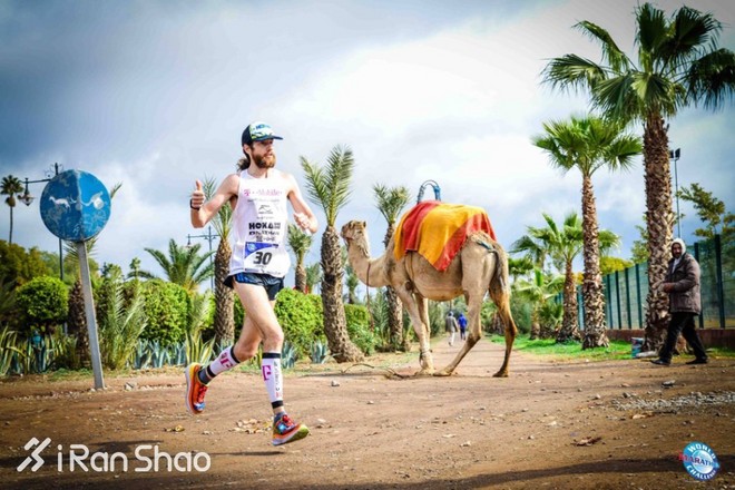 深度 | 7天7大洲7全马：冠军平均2:45 中国人获女子第二