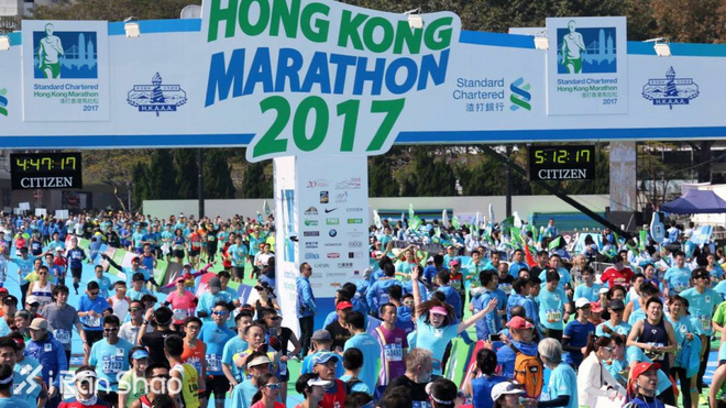 燃烧指南 | 港马又一年，你准备好受虐了么