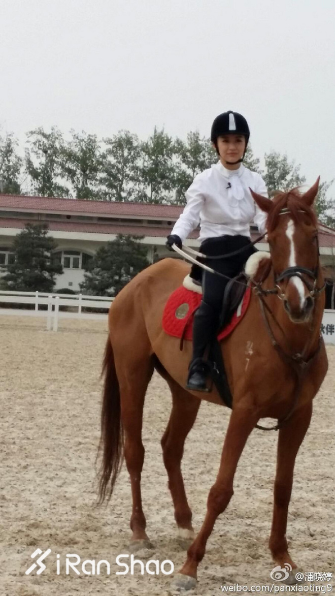 热点 | 潘晓婷 不会跑马拉松的九球天后不是好演员