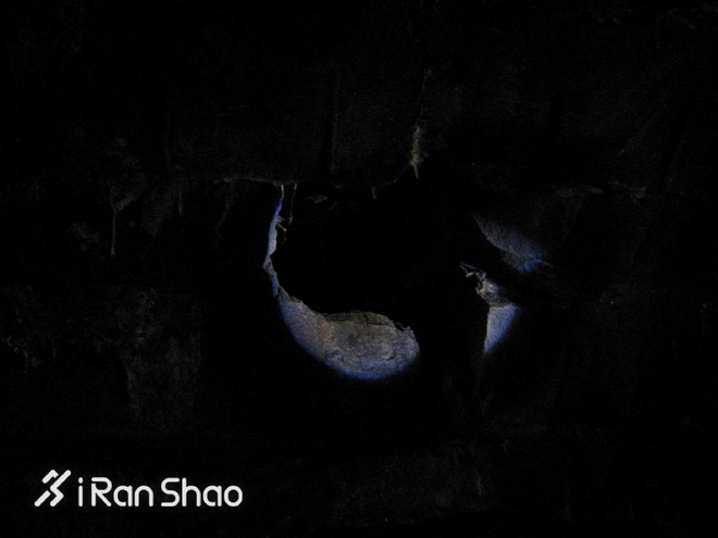 特稿 | Barkley的愚人节