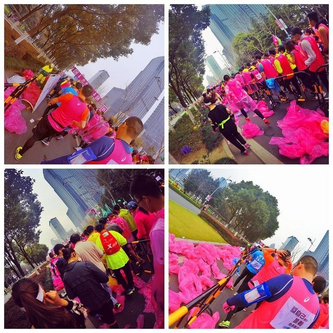 我愿奔向三月的风 浴一回樱花雨——记2017无锡马拉松