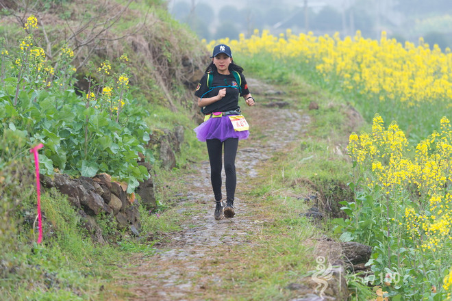 江南100游侠视角——沐浴着绵绵细雨，奔跑在满坡满野的金黄中