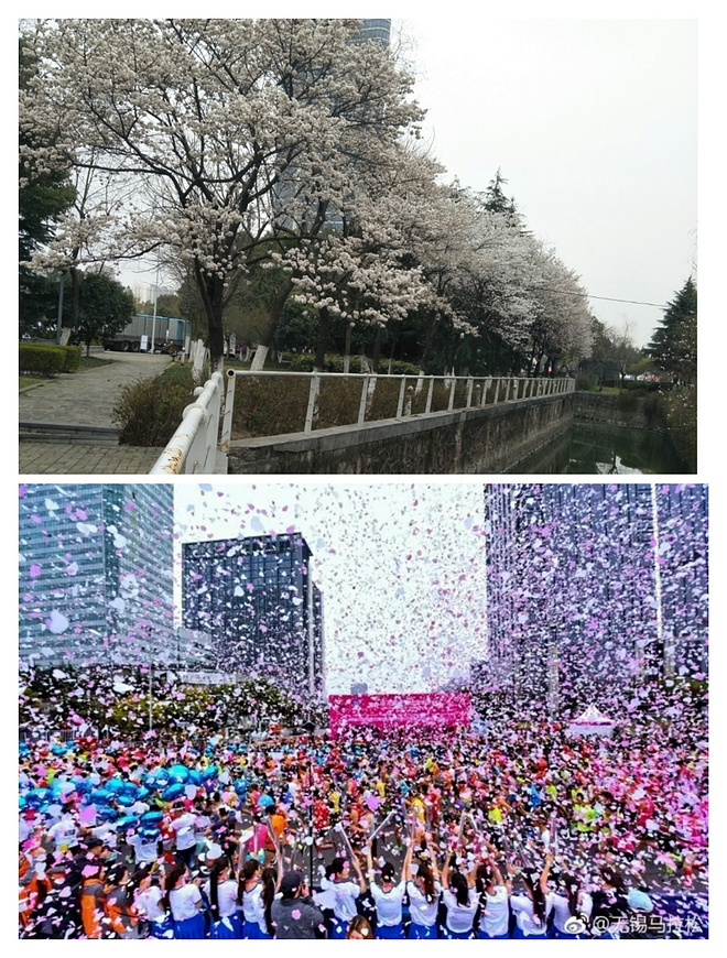 铿锵玫瑰，风雨疾蹄——2017锡马小记