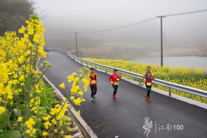 江南100游侠视角——沐浴着绵绵细雨，奔跑在满坡满野的金黄中