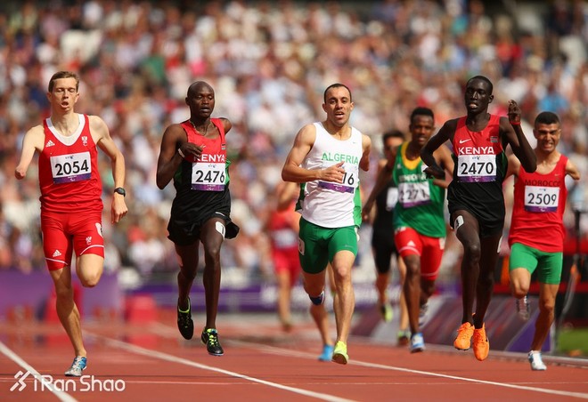 深度 | 巴塞罗那马拉松：兔子包揽前两名 残奥选手首马夺冠！