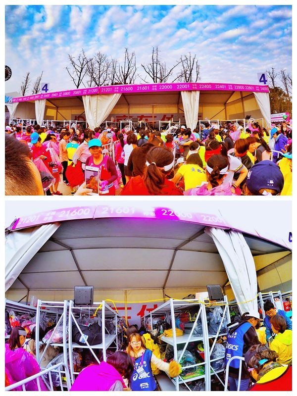 我愿奔向三月的风 浴一回樱花雨——记2017无锡马拉松