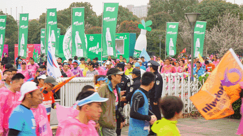 铿锵玫瑰，风雨疾蹄——2017锡马小记