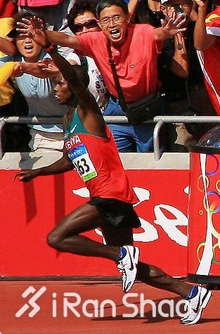 深度 | 巴塞罗那马拉松：兔子包揽前两名 残奥选手首马夺冠！