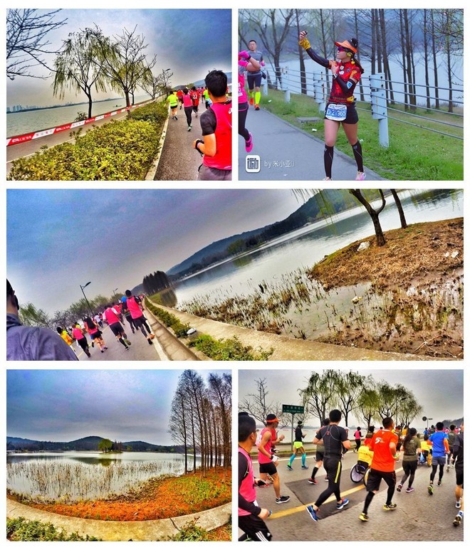我愿奔向三月的风 浴一回樱花雨——记2017无锡马拉松