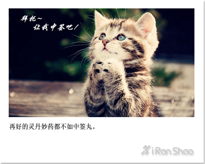 燃烧指南 | 兰马来了！你报名了吗？