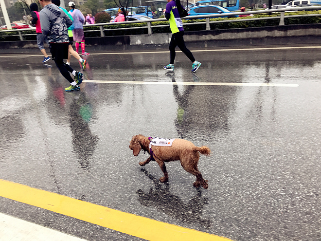 我迷恋的，或许是掏空身体之后的静默无言——虾说锡马