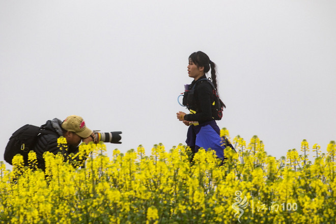 江南100游侠视角——沐浴着绵绵细雨，奔跑在满坡满野的金黄中