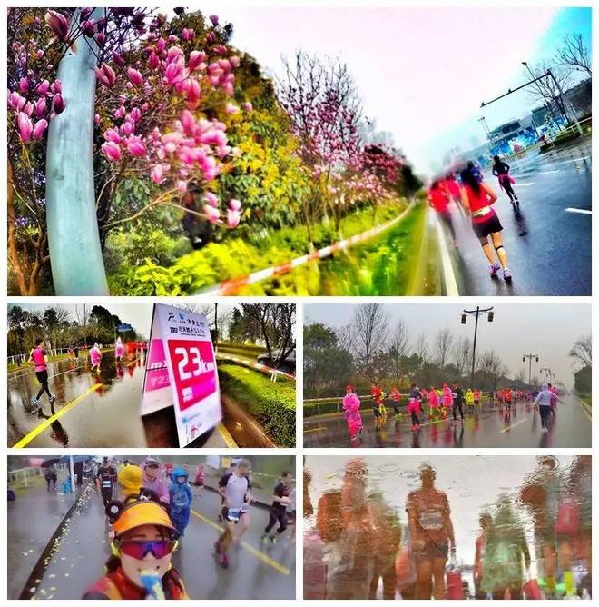 我愿奔向三月的风 浴一回樱花雨——记2017无锡马拉松