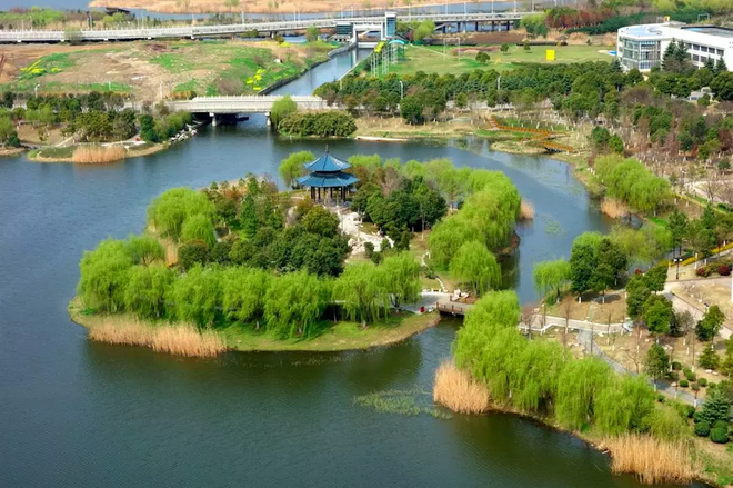 铿锵玫瑰，风雨疾蹄——2017锡马小记