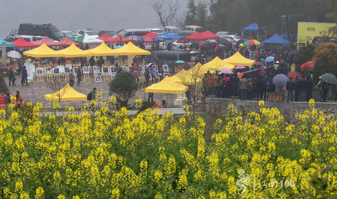 江南100游侠视角——沐浴着绵绵细雨，奔跑在满坡满野的金黄中