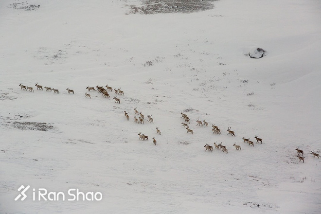 北美超马故事 | The North