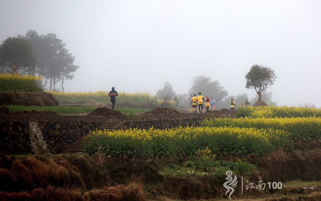 江南100游侠视角——沐浴着绵绵细雨，奔跑在满坡满野的金黄中