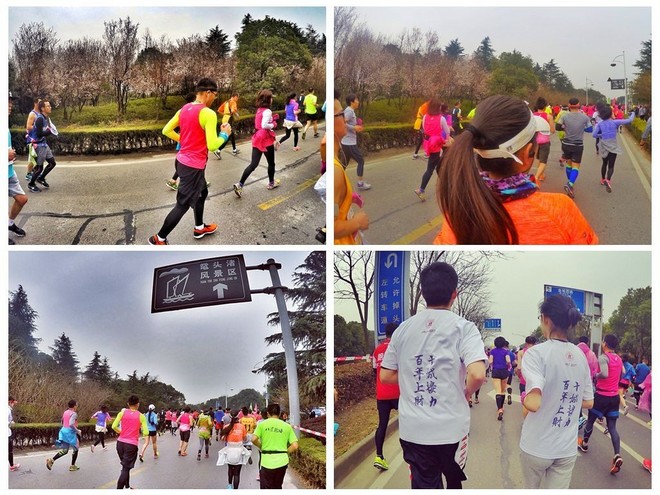 我愿奔向三月的风 浴一回樱花雨——记2017无锡马拉松