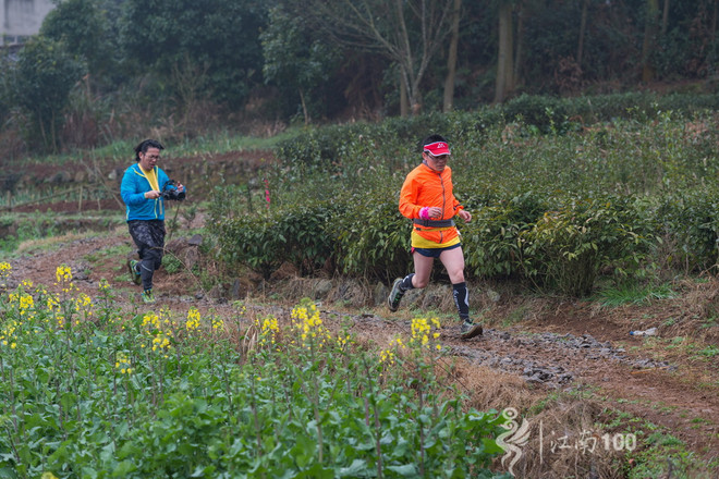 江南100游侠视角——沐浴着绵绵细雨，奔跑在满坡满野的金黄中