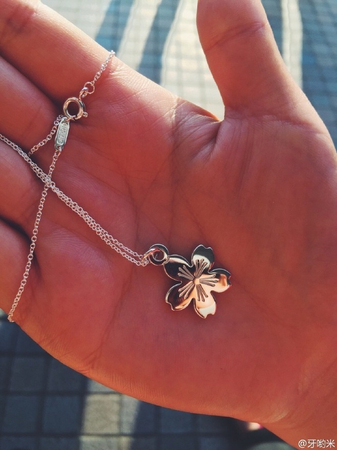 名古屋女子马拉松第三年