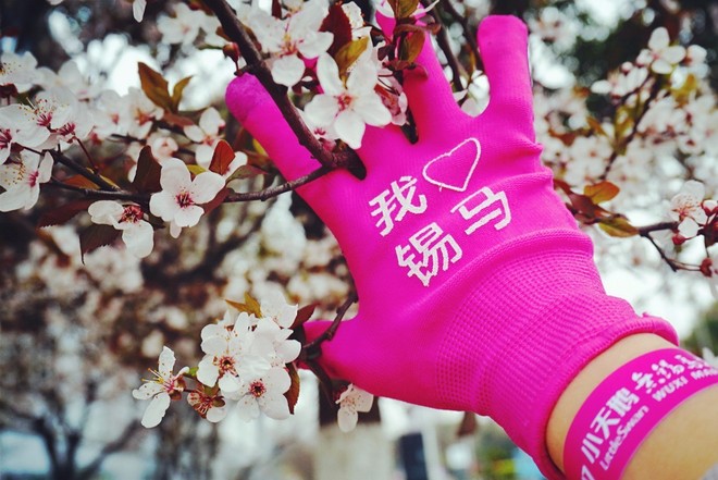我愿奔向三月的风 浴一回樱花雨——记2017无锡马拉松