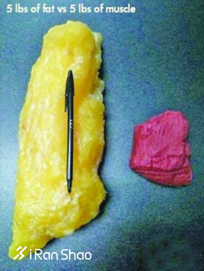 三八节 | 谣言终结 与妹子们有关的六大跑步谎言