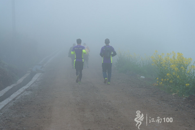 江南100游侠视角——沐浴着绵绵细雨，奔跑在满坡满野的金黄中