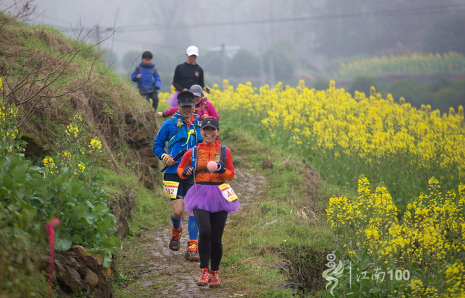 江南100游侠视角——沐浴着绵绵细雨，奔跑在满坡满野的金黄中