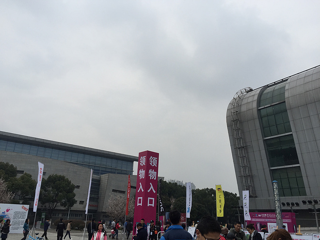 樱花盛开，蝴蝶自来 ---与你邂逅浪漫之城