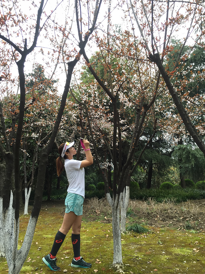 樱花盛开，蝴蝶自来 ---与你邂逅浪漫之城