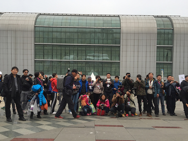 樱花盛开，蝴蝶自来 ---与你邂逅浪漫之城