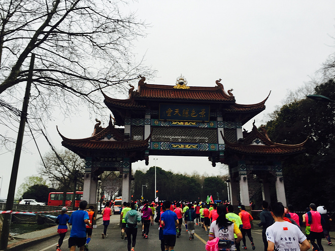 樱花盛开，蝴蝶自来 ---与你邂逅浪漫之城