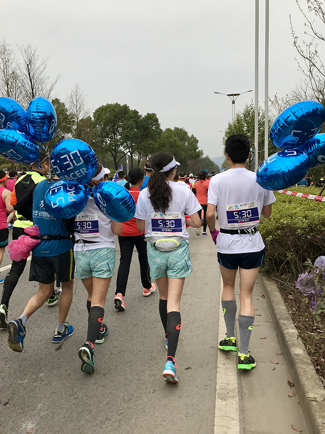 樱花盛开，蝴蝶自来 ---与你邂逅浪漫之城