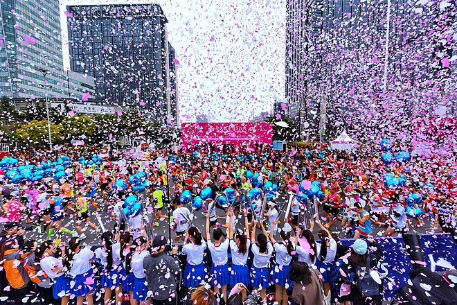 樱花盛开，蝴蝶自来 ---与你邂逅浪漫之城