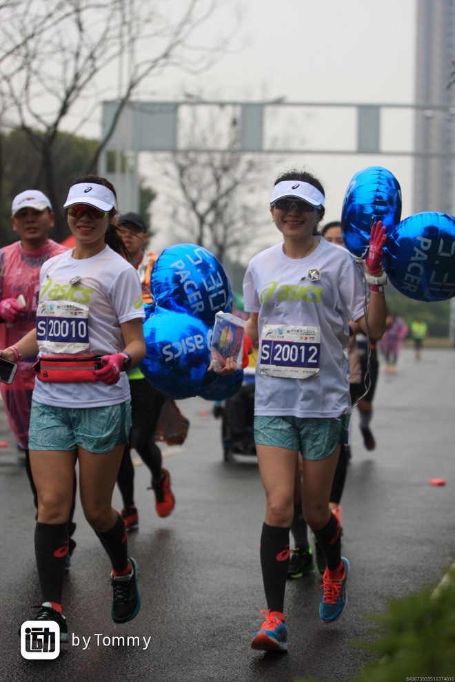 樱花盛开，蝴蝶自来 ---与你邂逅浪漫之城