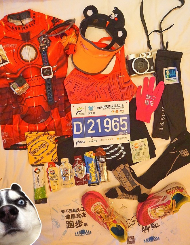 我愿奔向三月的风 浴一回樱花雨——记2017无锡马拉松