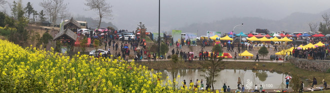 江南100游侠视角——沐浴着绵绵细雨，奔跑在满坡满野的金黄中
