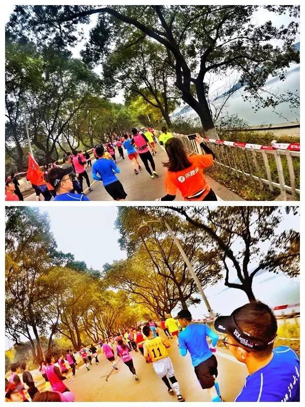 我愿奔向三月的风 浴一回樱花雨——记2017无锡马拉松