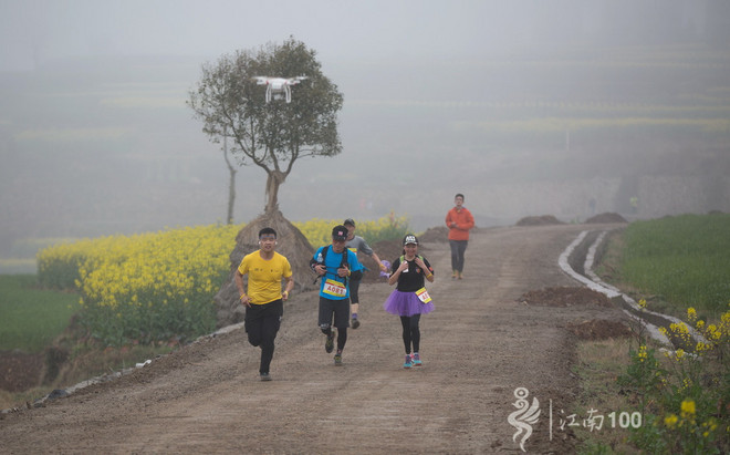 江南100游侠视角——沐浴着绵绵细雨，奔跑在满坡满野的金黄中