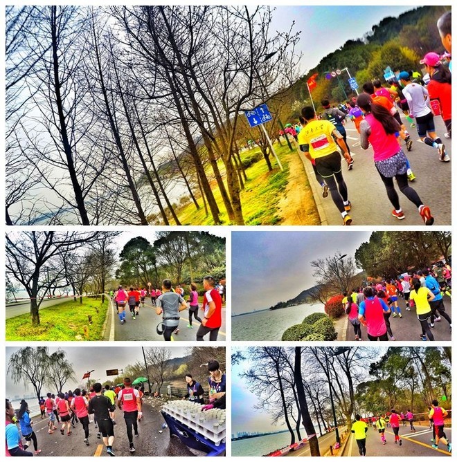 我愿奔向三月的风 浴一回樱花雨——记2017无锡马拉松