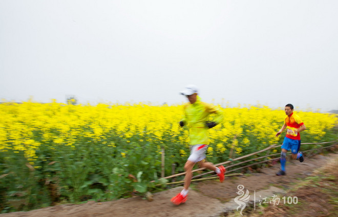 江南100游侠视角——沐浴着绵绵细雨，奔跑在满坡满野的金黄中