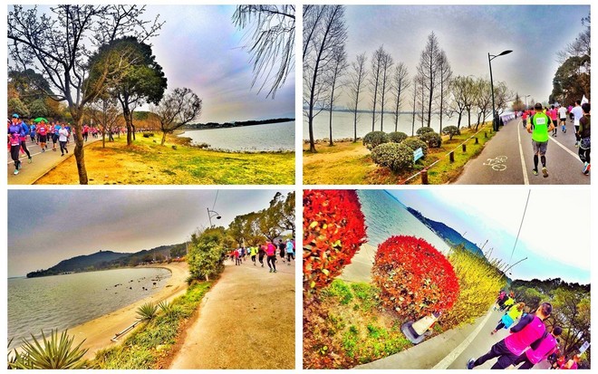 我愿奔向三月的风 浴一回樱花雨——记2017无锡马拉松