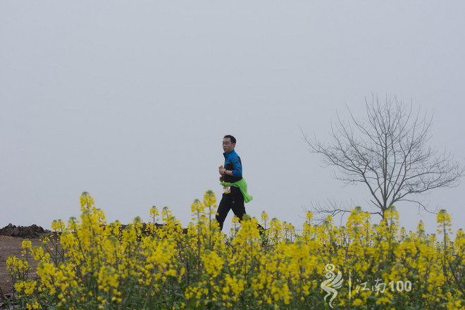 江南100游侠视角——沐浴着绵绵细雨，奔跑在满坡满野的金黄中